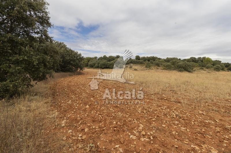 Foto 3d0e2f18-4aac-4e97-9a4f-8a4b9e4b925c. Terreno residenziale in Hueva