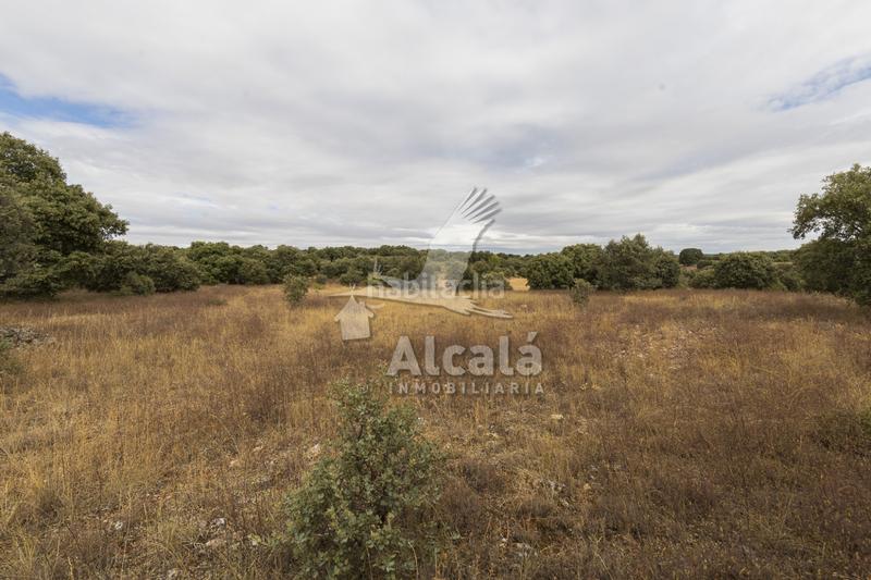 Foto 3f1e53ad-39bf-4199-9d6f-1430f8c188ab. Terreno residenziale in Hueva