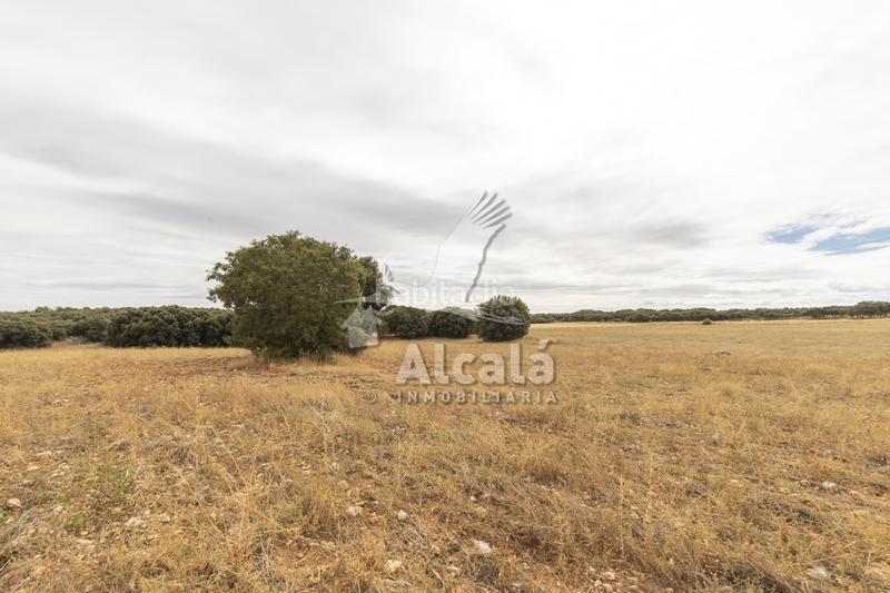 Foto 41236dca-fde2-4f0d-b63d-fe3937283178. Terreno residenziale in Hueva