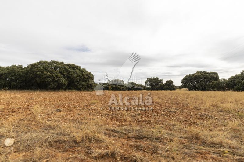 Foto 4ed721c1-3f26-4f30-9175-88c4137fd738. Terreno residenziale in Hueva