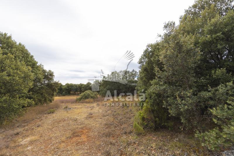 Foto 55055bce-d05c-4fc4-8d35-916b07aec68b. Terreno residenziale in Hueva