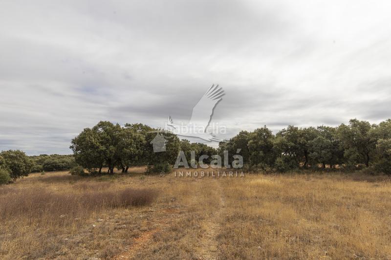 Foto 555c2963-22e5-4e21-8a3d-42b33cf3d6f4. Terreno residenziale in Hueva