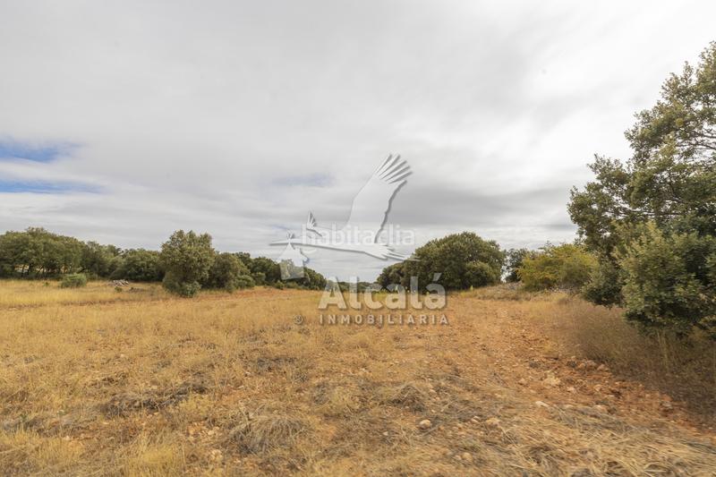 Foto 5c12e9a1-c6b7-46c4-8e70-15389975ac70. Terreno residenziale in Hueva