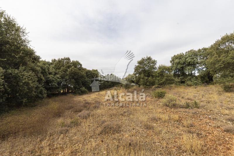 Foto 5e810147-dfa3-4270-bc41-f94f7aff08ef. Terreno residenziale in Hueva