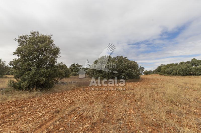 Foto 5e91da50-6447-4056-bad9-5b4bfbc9bb6f. Terreno residenziale in Hueva