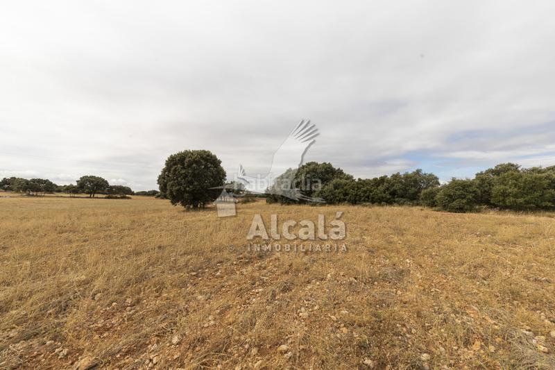 Foto 6a9d1198-d915-405d-b5b2-b3fc7d793569. Terreno residenziale in Hueva