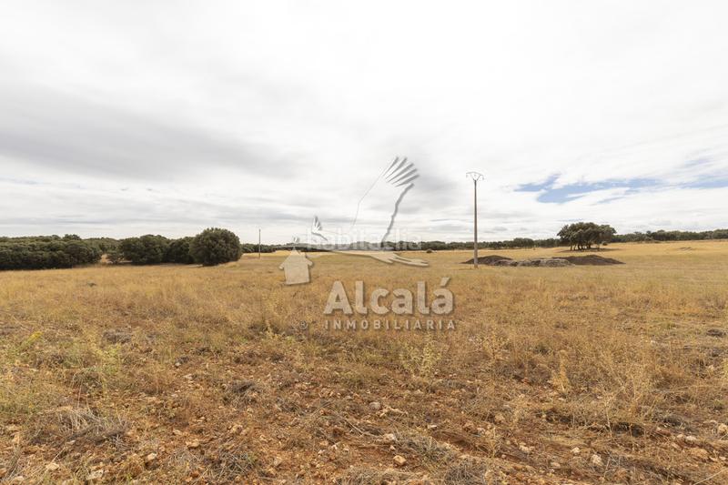 Foto 804ba6da-b7a0-43a7-bfd0-b9dbe602563b. Terreno residenziale in Hueva