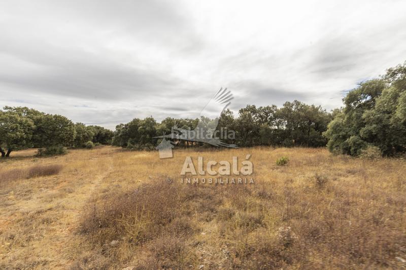 Foto 82cd21e8-9453-4555-8680-58e949e2134e. Terreno residenziale in Hueva