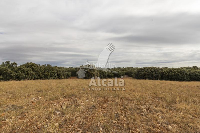 Foto 8bb192db-c546-4944-86f8-2d59caf200a3. Terreno residenziale in Hueva