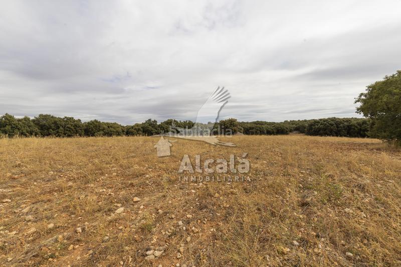 Foto 96b49b28-65bd-4f60-9914-fa0d2ab3783f. Terreno residenziale in Hueva