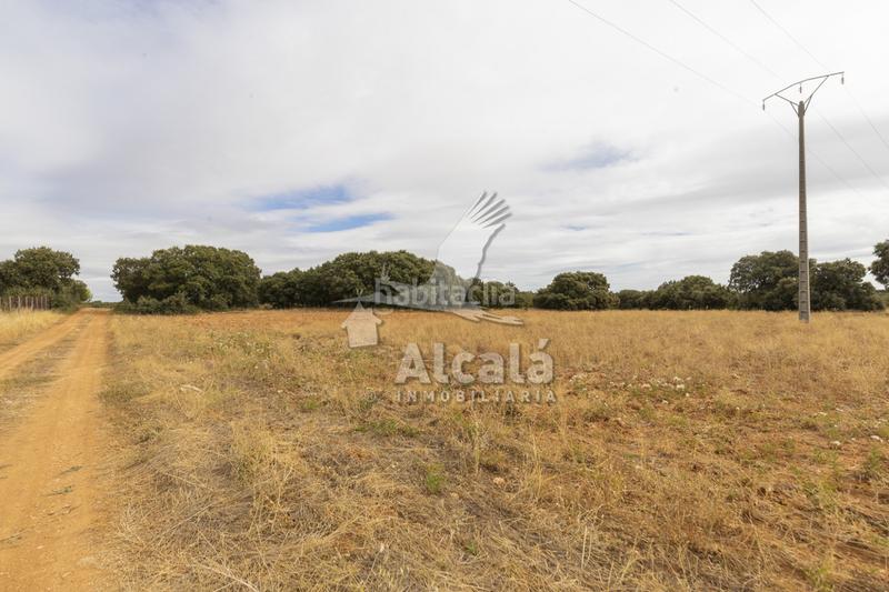 Foto a2dd253c-baec-40b2-ab74-ca07eb75eaf8. Terreno residenziale in Hueva