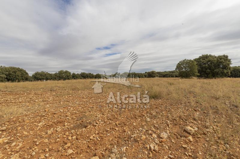 Foto a44f1b1e-81c5-4153-a999-8563ecac3497. Terreno residenziale in Hueva