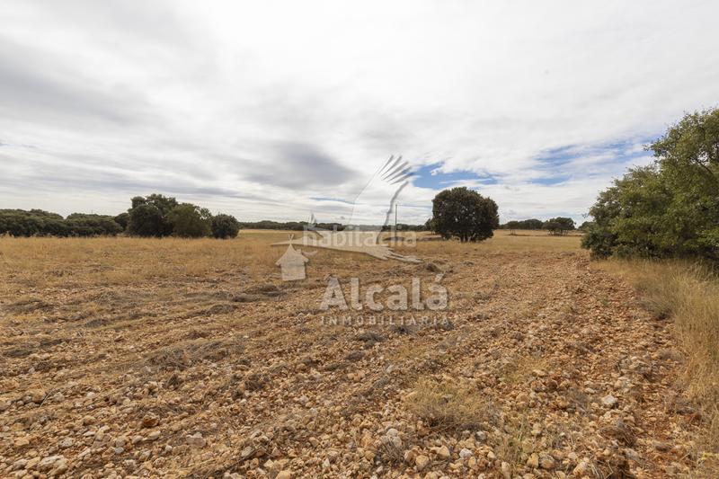 Foto a5aba0e6-9039-4839-b499-e668e6372edb. Terreno residenziale in Hueva