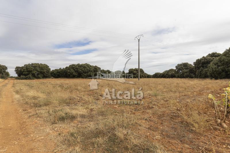 Foto ac7ceeda-9504-4f86-a9f3-c806c7411e74. Terreno residenziale in Hueva