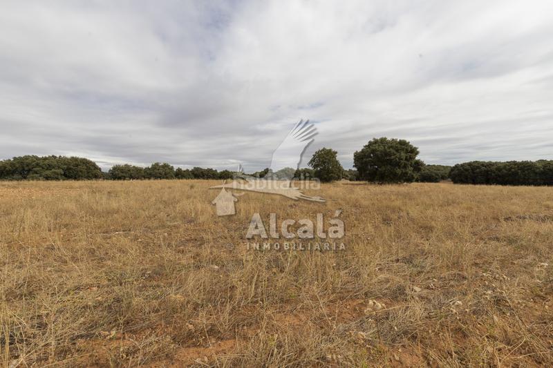 Foto b2d73f3a-d905-4639-b4b9-e768eb360f98. Terreno residenziale in Hueva