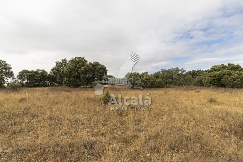 Foto b795d5db-8c67-4cf0-9292-7c1f607b9971. Terreno residenziale in Hueva