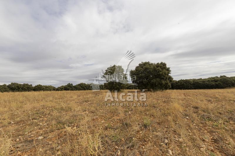 Foto bd94ea8f-b16d-4c00-b791-4618c377a7b2. Terreno residenziale in Hueva