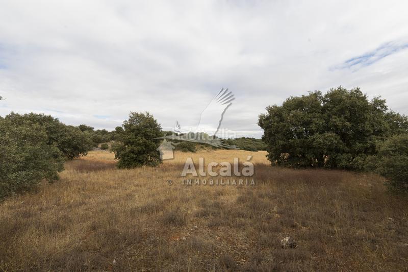 Foto c5aaa87e-e83c-428e-9390-54664ea66037. Terreno residenziale in Hueva