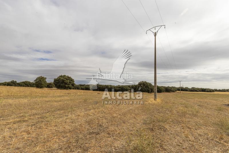 Foto c6f29b14-37fb-4828-9763-2ea3392dc17c. Terreno residenziale in Hueva