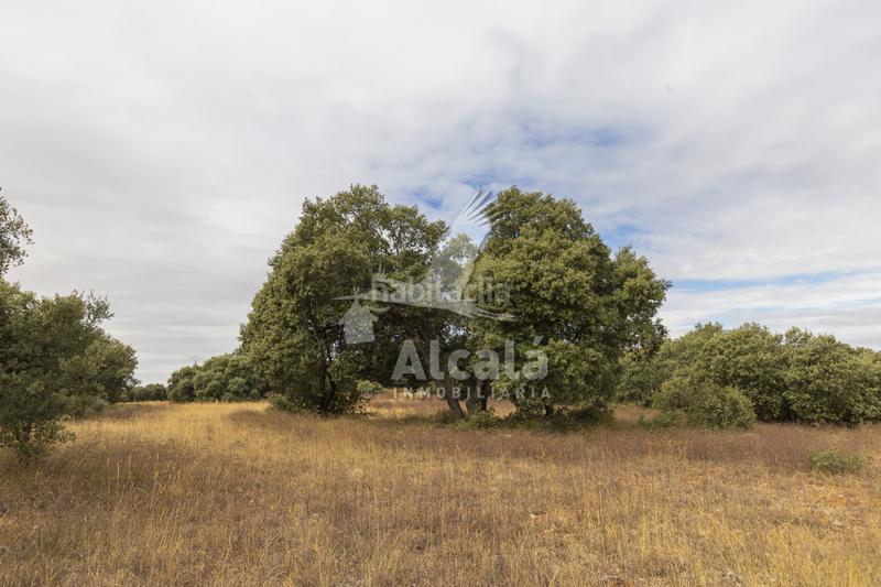 Foto e50d7777-b3d4-4a4b-9752-31f5d83ebd92. Terreno residenziale in Hueva