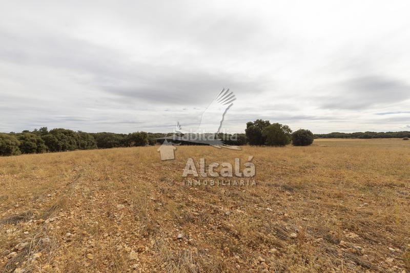 Foto f3dc6987-ed6b-4d33-8f00-08ce282671cb. Terreno residenziale in Hueva