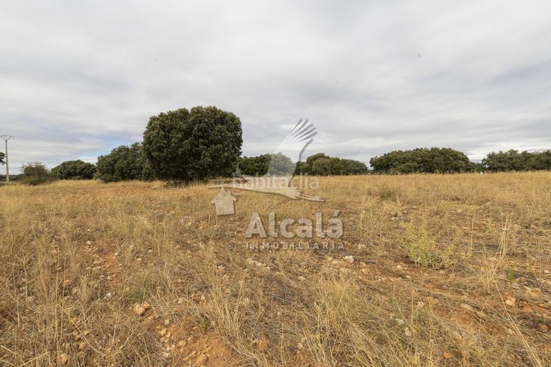 Foto f55cd7f2-0a38-4a5f-94bc-729cf83d37d8. Terreno residenziale in Hueva