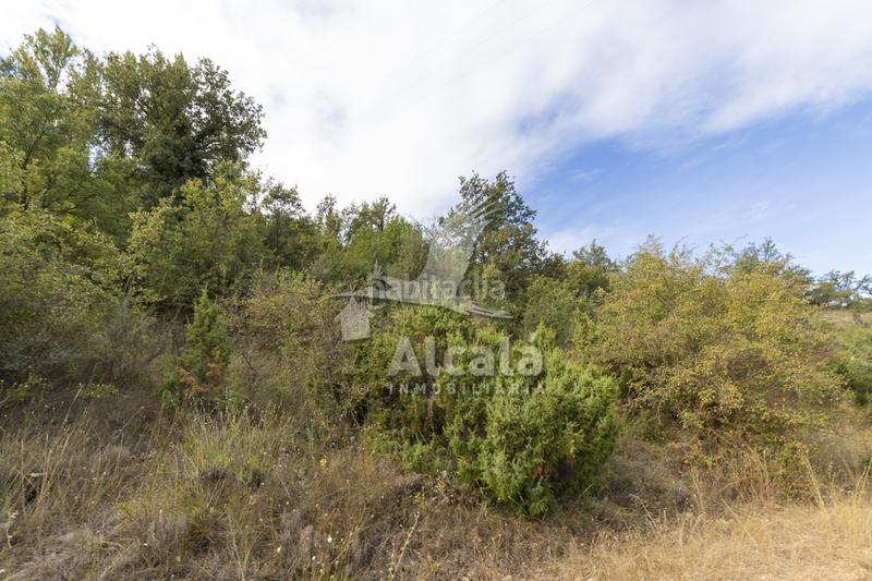 Foto 051b8db8-dca1-4e43-83ad-9b2fa9e23a82. Terreno residenziale in Hueva