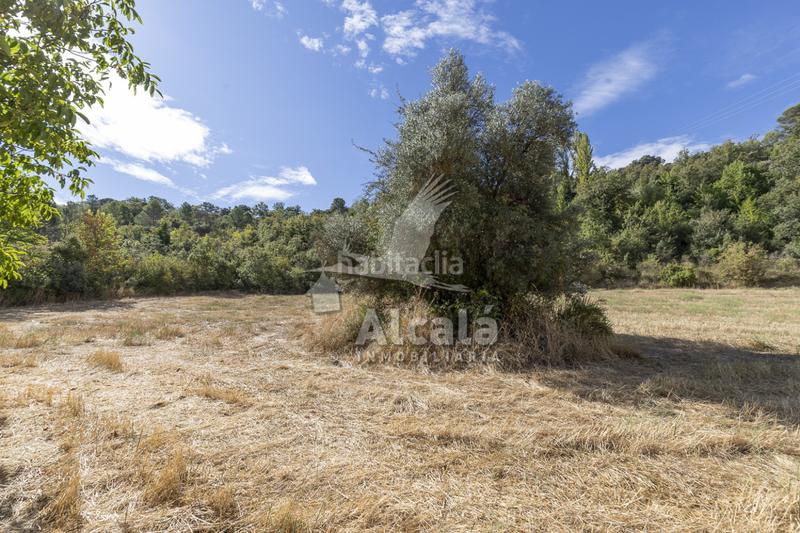 Foto 13769ea2-4bf6-4dab-9ba5-cd85ea2ca7c0. Terreno residenziale in Hueva