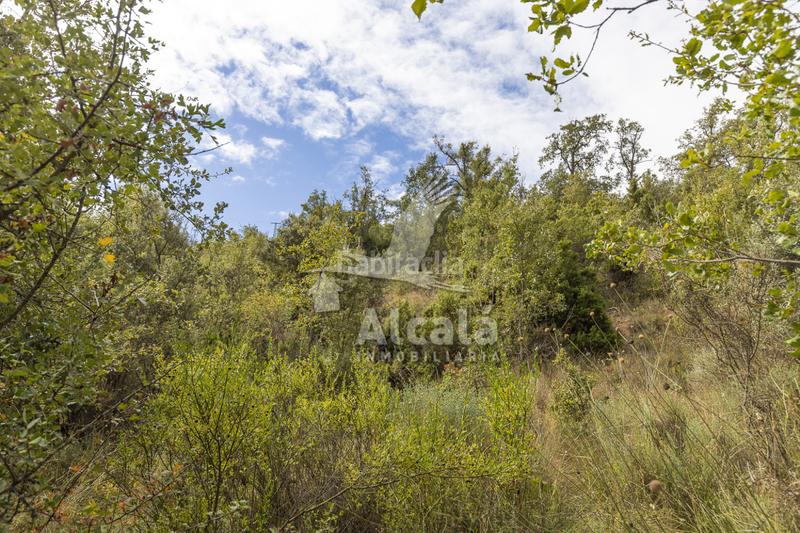 Foto 1e93888a-f894-4601-99e4-b11bde11e01b. Terreno residenziale in Hueva