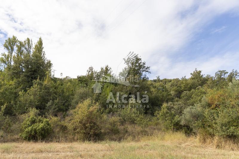 Foto 4d2629e7-1cff-447c-812c-6196c9c32071. Terreno residenziale in Hueva