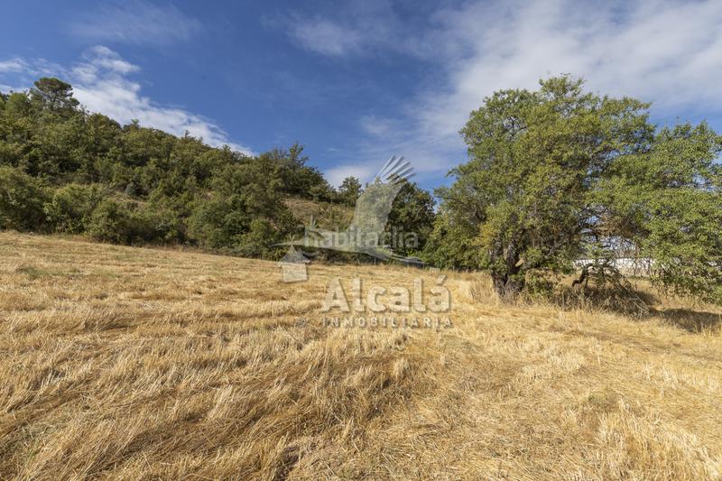 Foto 4f973c88-0ca8-413c-b57e-00edacf03053. Terreno residenziale in Hueva