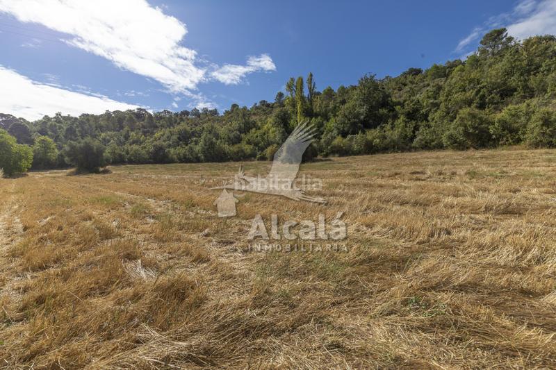 Foto 52972f56-cd27-4fd4-bbd4-1dadde4e461a. Terreno residenziale in Hueva