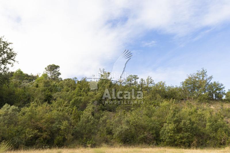 Foto 75609535-9bb8-4a11-867c-127c043da361. Terreno residenziale in Hueva