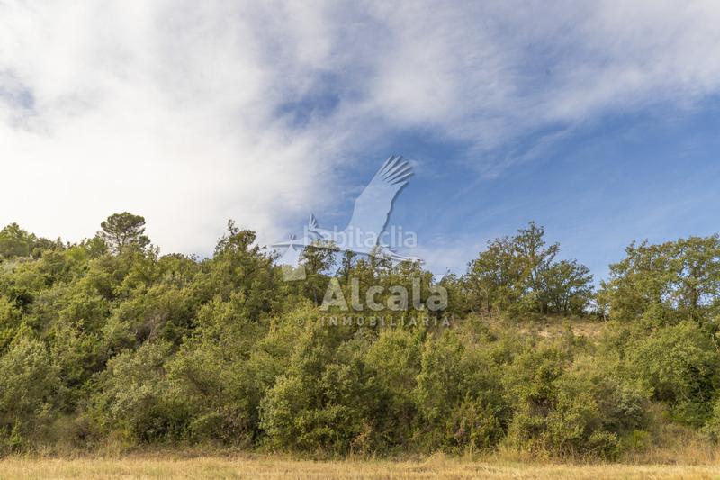 Foto 7bcd05b1-bcd2-4519-b293-b6b253d18adf. Terreno residenziale in Hueva