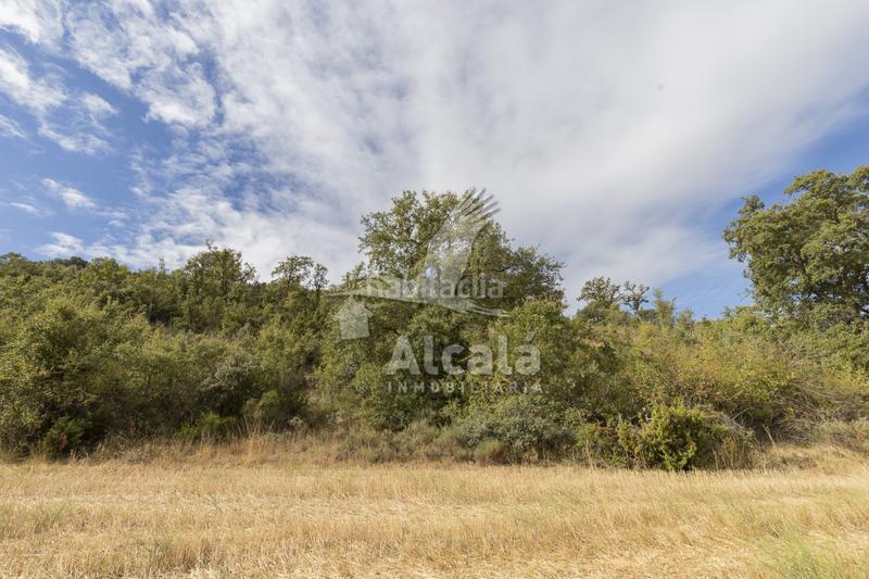 Foto c0dba880-abc2-4b4f-aea7-0798f34df1e7. Terreno residenziale in Hueva