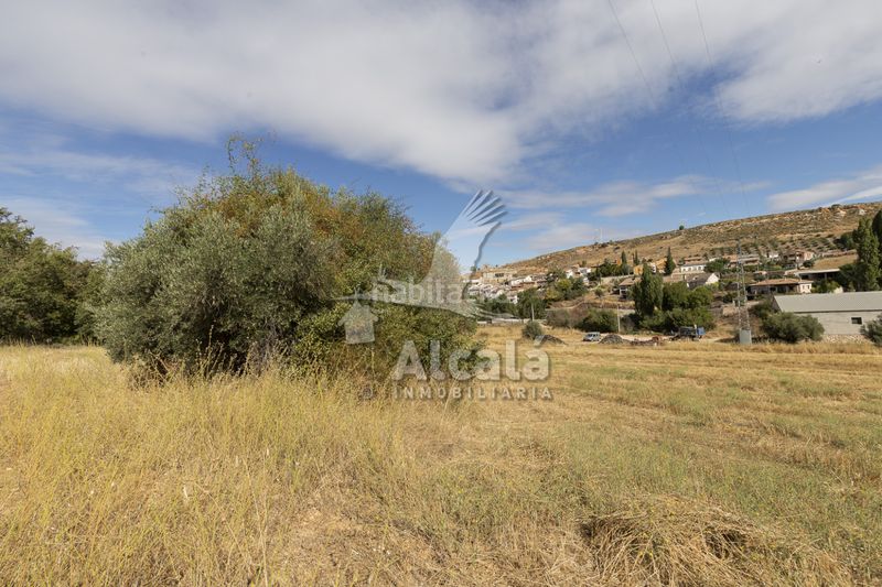 Foto 230ed790-d004-4247-9896-cbc52d46c114. Finca rústica a Hueva