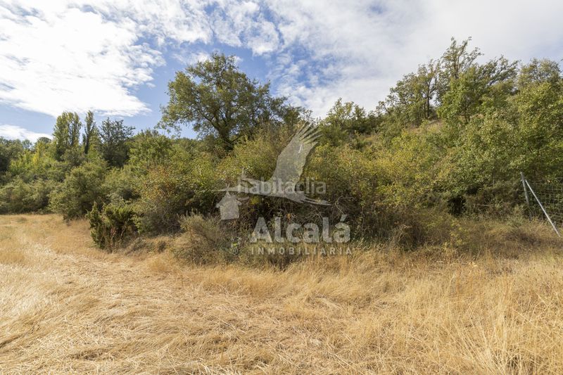 Foto 64e04a9f-7a5e-4957-af85-d04cabc8f7e1. Finca rústica a Hueva
