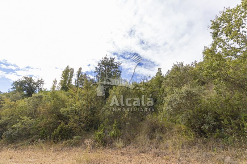 Foto ab0bd000-1256-4160-9db2-c1750b5ebea3. Finca rústica a Hueva
