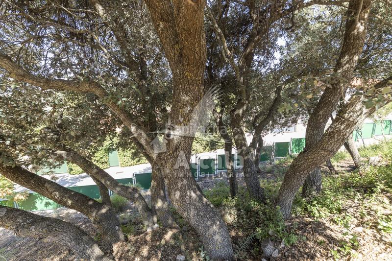 Foto e1a609a0-1e36-4609-8795-8aed67c25f3a. Casa exclusivo chalet independiente madrid en Ambite