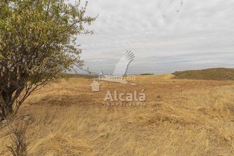 Foto 0026f94c-1023-4176-ad34-a9426116fcdb. Terrain résidentiel dans Santos de la Humosa (Los)