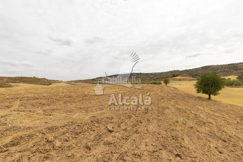 Foto 021537c9-6e5b-4d50-8bb5-8652d27c5bc7. Terrain résidentiel dans Santos de la Humosa (Los)