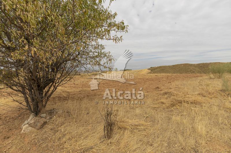 Foto 1a3829ca-76f3-44d6-b9c8-73e1c0fbce17. Terrain résidentiel dans Santos de la Humosa (Los)