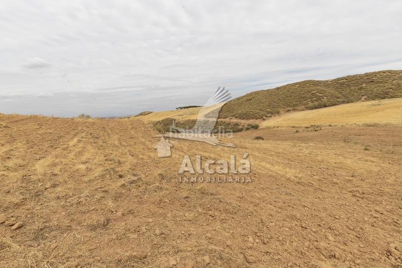 Foto 1ca5a71a-0bd7-45f8-a349-57257bb4b789. Terrain résidentiel dans Santos de la Humosa (Los)