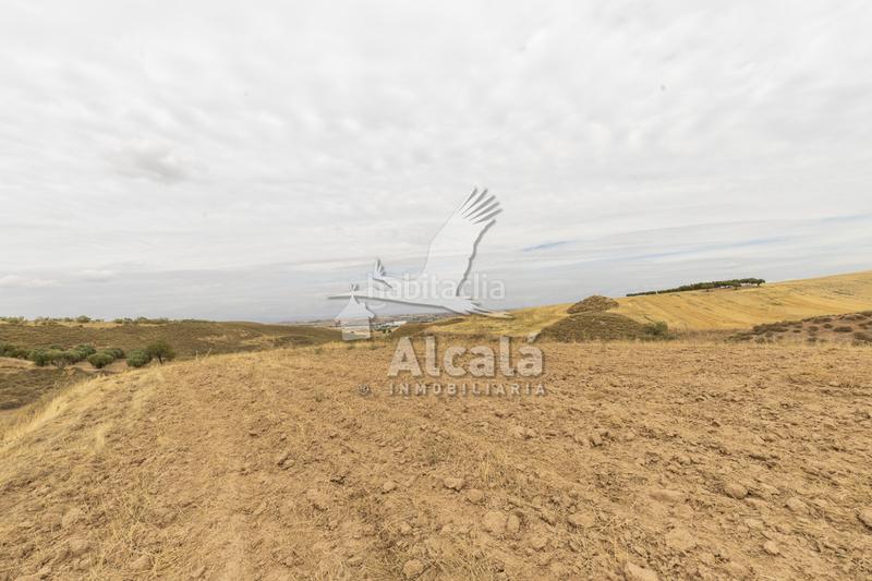 Foto 44f6a9a7-682c-4c75-9508-4c4b4ebdc293. Terrain résidentiel dans Santos de la Humosa (Los)