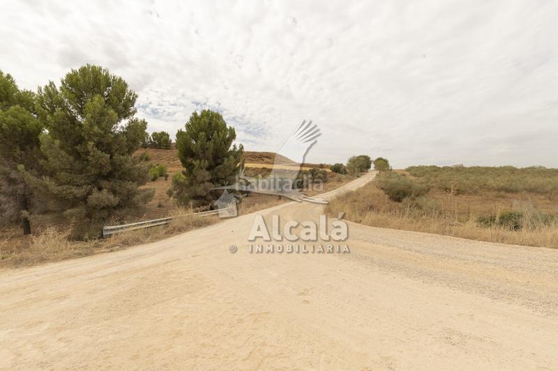 Foto 467e8c11-5d16-4a8f-9e7e-63e4f3970377. Terrain résidentiel dans Santos de la Humosa (Los)