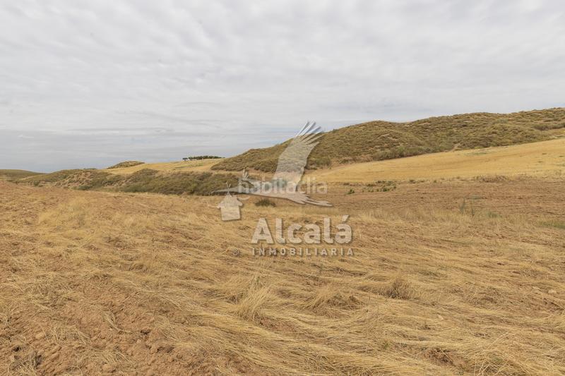 Foto 4a0a46f7-de20-4bbf-8258-f6795f96abfb. Terrain résidentiel dans Santos de la Humosa (Los)
