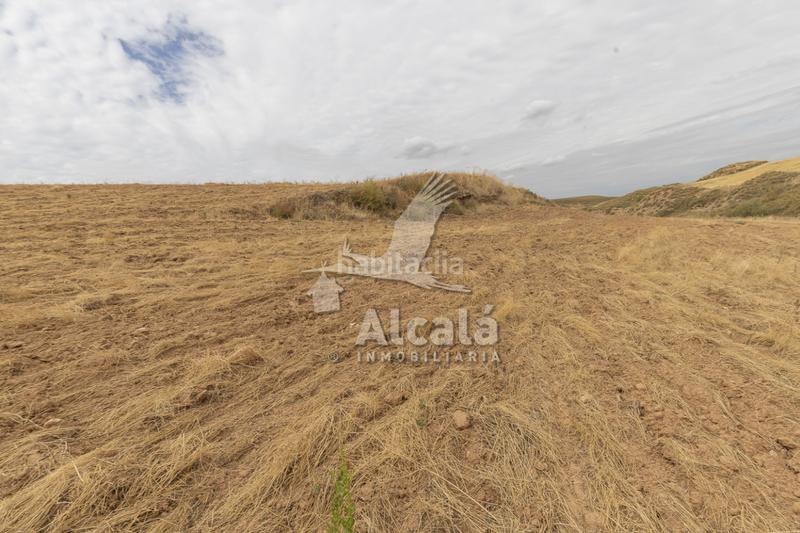 Foto 4ea7b17e-7343-45a3-b3b4-0691ec186a01. Terrain résidentiel dans Santos de la Humosa (Los)