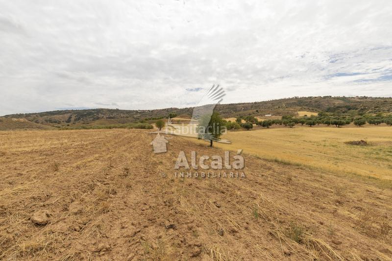 Foto 6fbff072-7b0f-46ff-9b3a-a433761c3c88. Terrain résidentiel dans Santos de la Humosa (Los)