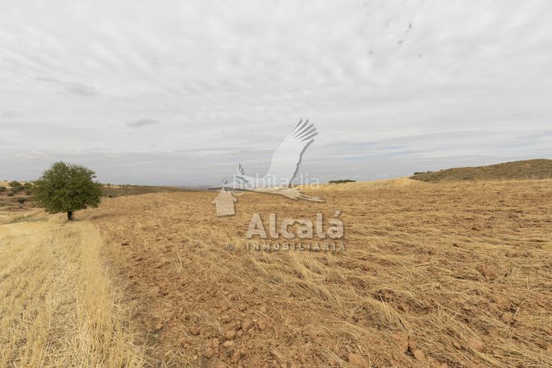 Foto 80837ce1-20f1-4f0d-ac33-d8dedb37cc53. Terrain résidentiel dans Santos de la Humosa (Los)