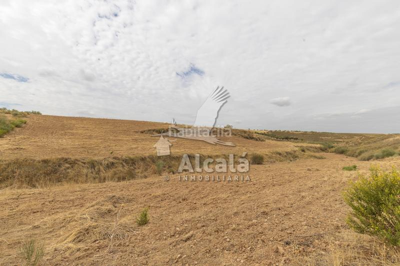 Foto 967562af-1a56-4f60-92ae-fedb8a271dbc. Terrain résidentiel dans Santos de la Humosa (Los)